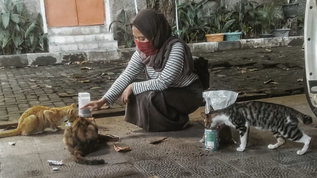Mahasiswa sedang memberikan makan kepada kucing (foto: @kuxingugm)